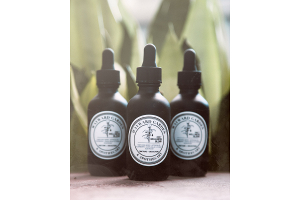 Daily Wellness Tincture | Immune Boosting Tincture | Immunity Tincture |