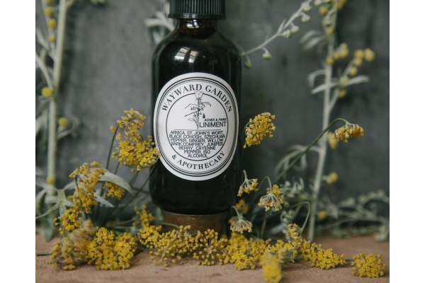 Pain Relief Spray Liniment, Extra Strength