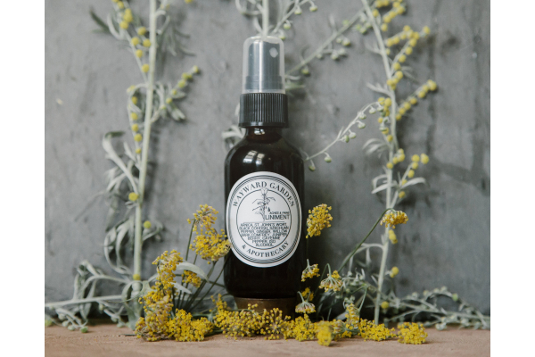 Pain Relief Spray Liniment, Extra Strength