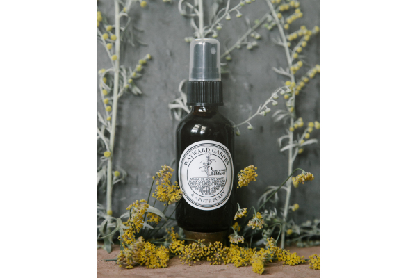 Pain Relief Spray Liniment, Extra Strength