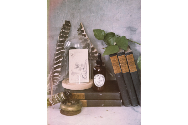 Ashwagandha Double Extract Elixir