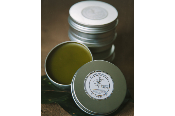 Aches & Pains Salve, Extra Strength