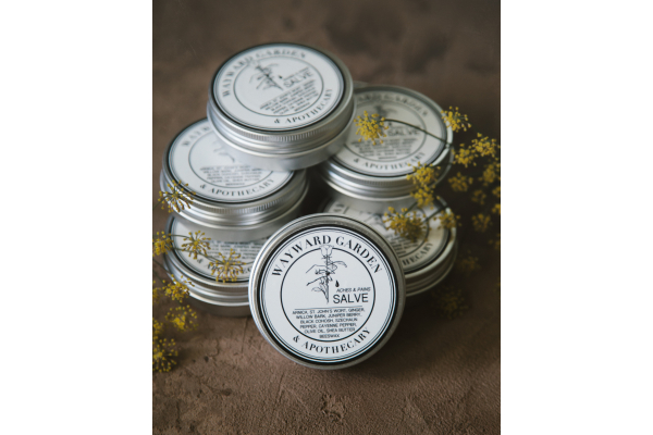Aches & Pains Salve, Extra Strength
