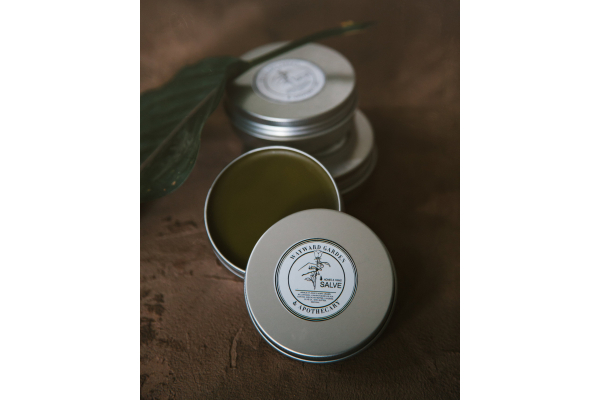 Aches & Pains Salve, Extra Strength