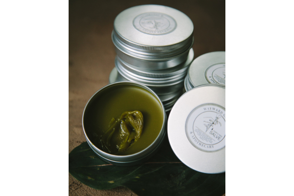 Aches & Pains Salve, Extra Strength