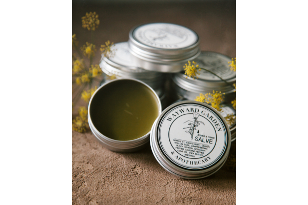 Aches & Pains Salve, Extra Strength