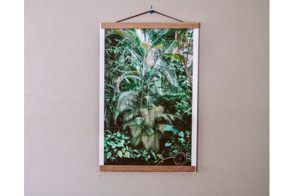 De Hortus Botanicus Amsterdam Botanical Gardens Poster