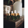 Facial Serum | Sample Size Serum | Blue Tansy Serum | Anti-Aging Serum