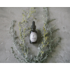 Wormwood Tinture