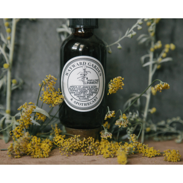 Pain Relief Spray Liniment, Extra Strength