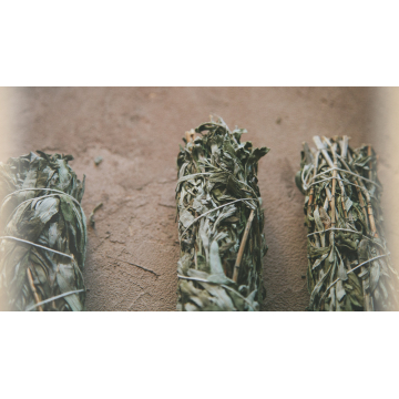 Wild Lavender Smudge Stick Ethical Wildcraft
