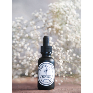 Mimosa Tincture