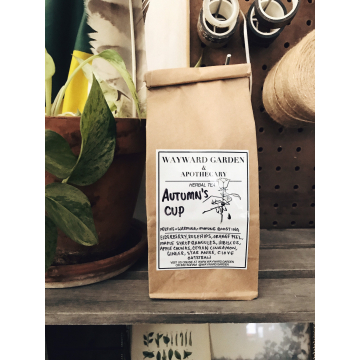 Autumn’s Cup | Spiced Elderberry | Fall Favorite | Seasonal Herbal Tea