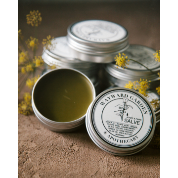 Aches & Pains Salve, Extra Strength