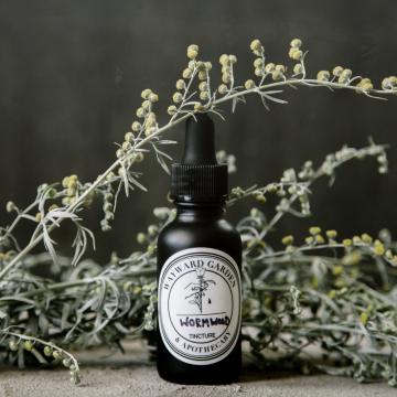 Wormwood Tinture