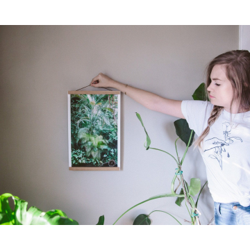 Serene Water Scene Poster Print