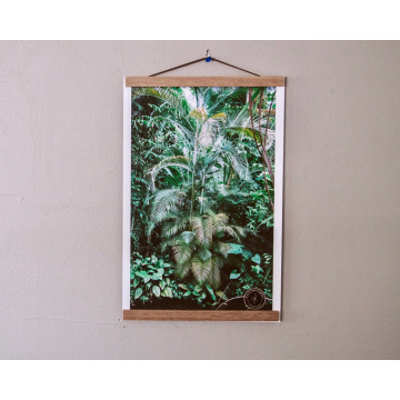 De Hortus Botanicus Amsterdam Botanical Gardens Poster