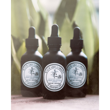 Daily Wellness Tincture | Immune Boosting Tincture | Immunity Tincture |