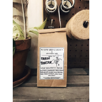 Brain Booster Herbal Tea | Lion’s Mane | Rosemary and Strawberry | Nootropic