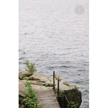 Lake Scene Poster Print