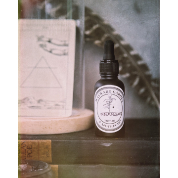 Elderflower Tincture