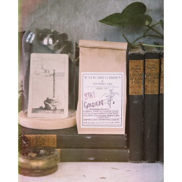 Stay Golden Turmeric Tea Golden Milk Tea